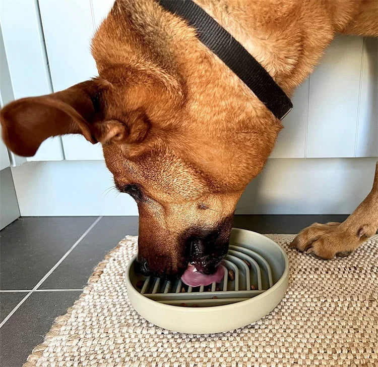 Pet supplies Slow Food  Bowl Cat Anti-Knockover Anti-Slip Food Bowl Puppy Anti-choking Silicone Toy Food Plate