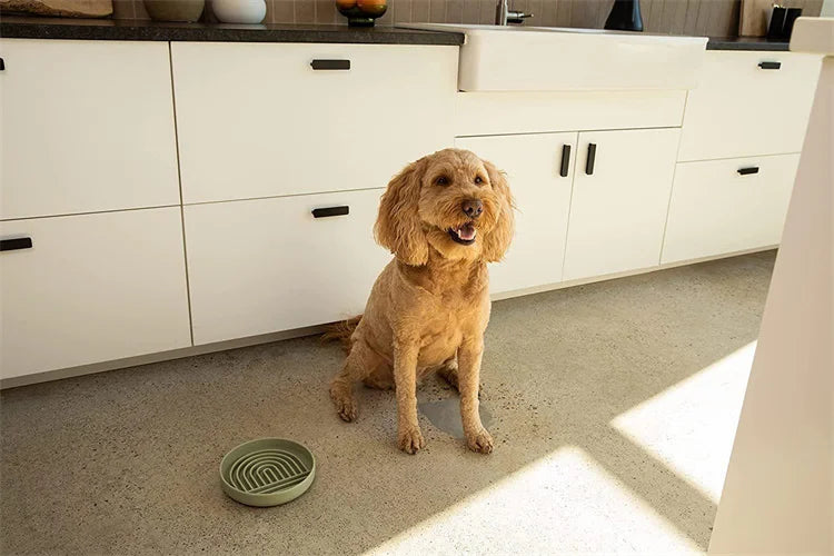 Pet supplies Slow Food  Bowl Cat Anti-Knockover Anti-Slip Food Bowl Puppy Anti-choking Silicone Toy Food Plate