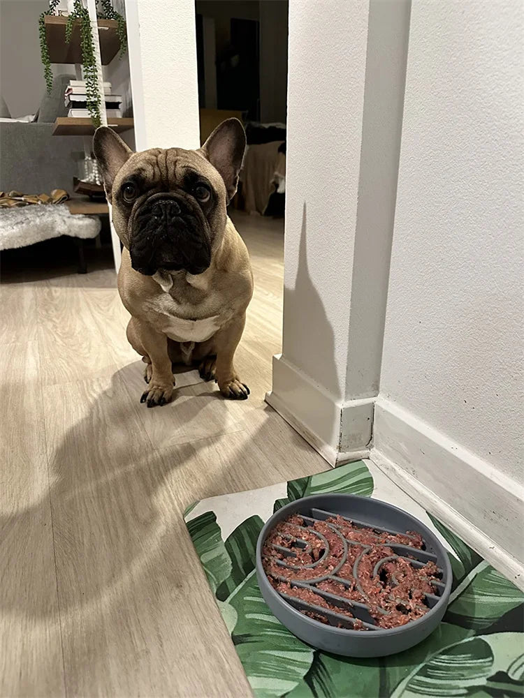 Pet supplies Slow Food  Bowl Cat Anti-Knockover Anti-Slip Food Bowl Puppy Anti-choking Silicone Toy Food Plate