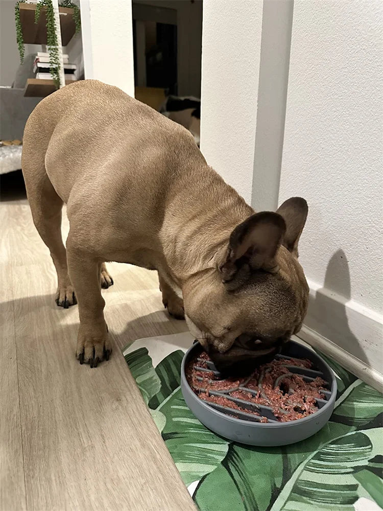 Pet supplies Slow Food  Bowl Cat Anti-Knockover Anti-Slip Food Bowl Puppy Anti-choking Silicone Toy Food Plate