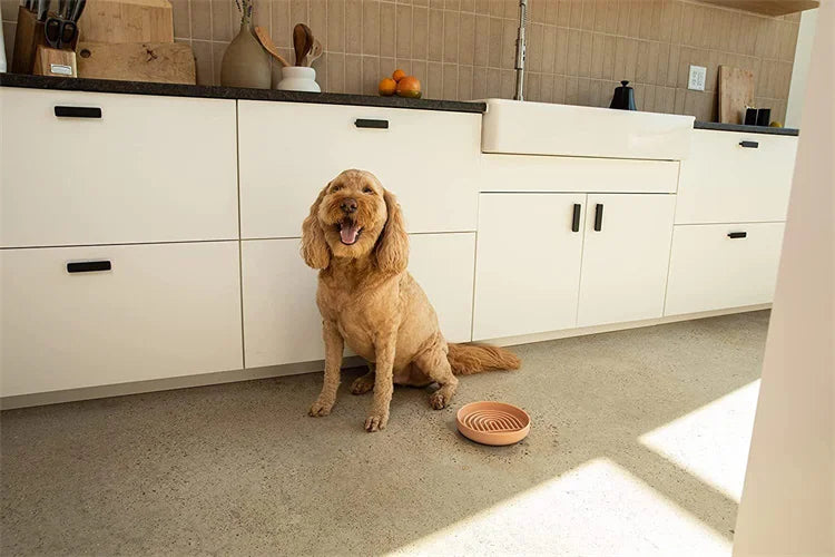 Pet supplies Slow Food  Bowl Cat Anti-Knockover Anti-Slip Food Bowl Puppy Anti-choking Silicone Toy Food Plate