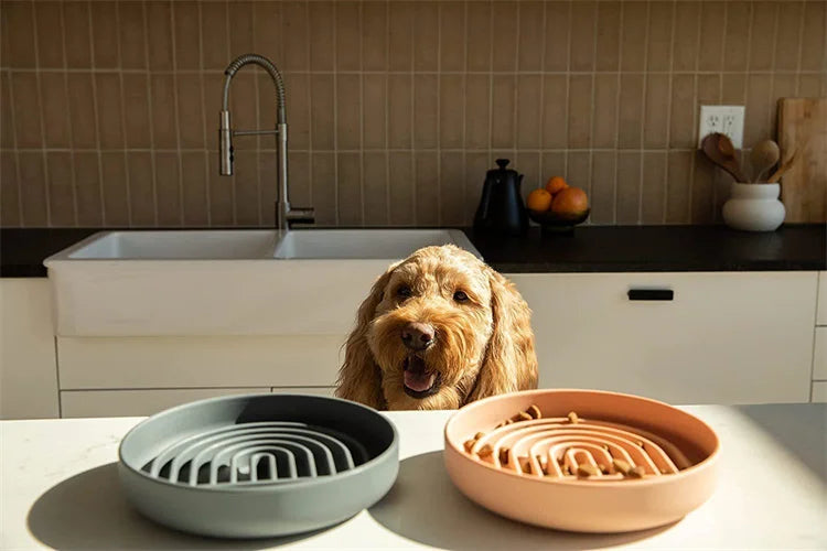 Pet supplies Slow Food  Bowl Cat Anti-Knockover Anti-Slip Food Bowl Puppy Anti-choking Silicone Toy Food Plate